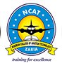 NCAT Logo